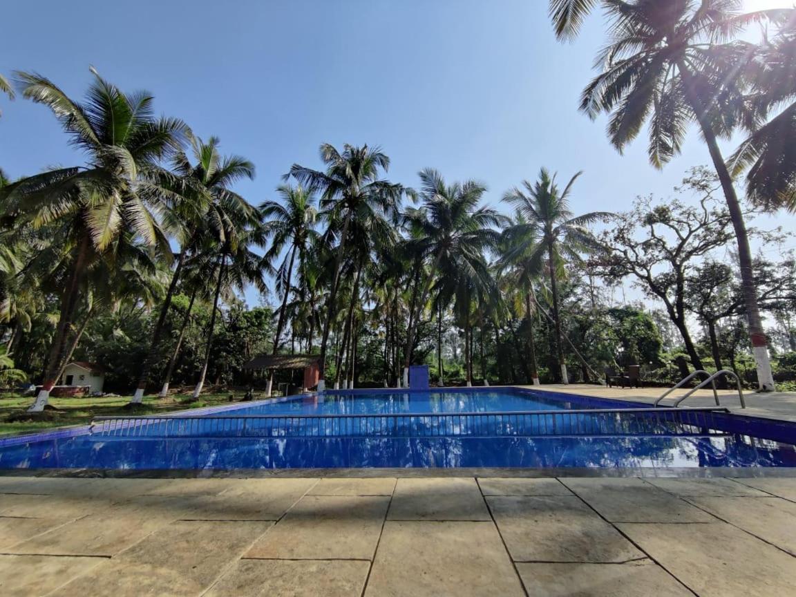 White House Beach Resort, Nagaon Exterior foto